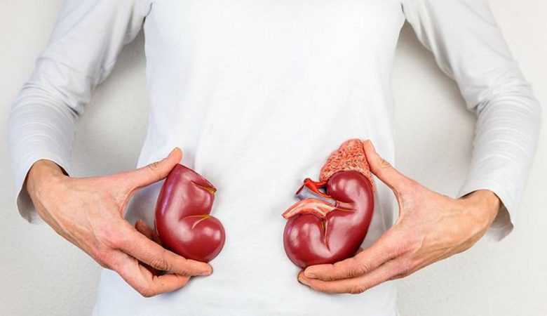 پیوند کلیه شیراز