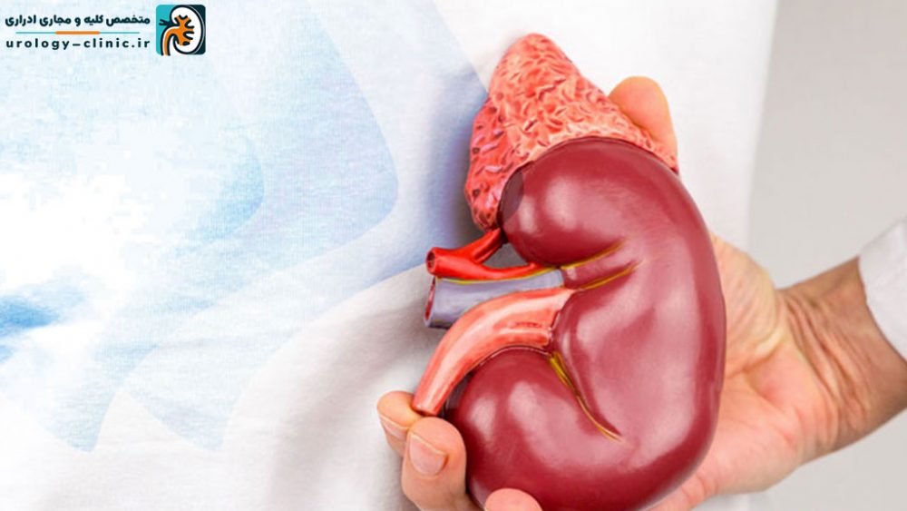 جراحی برداشتن کلیه در شیراز