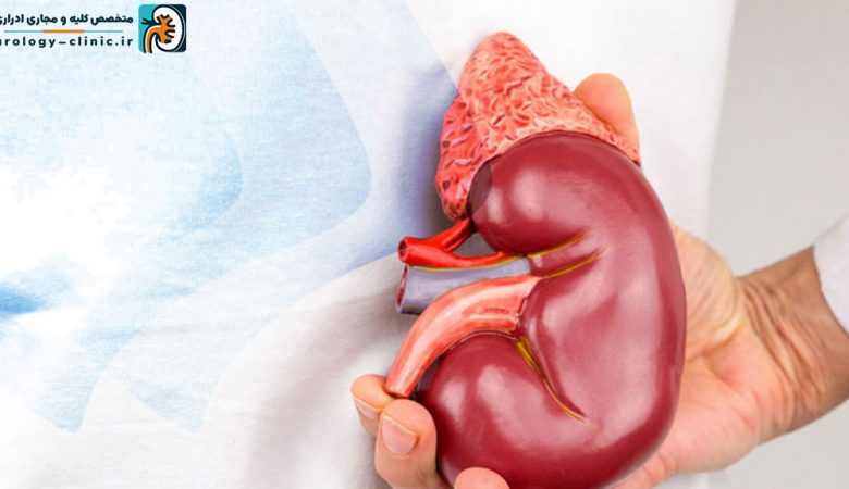 جراحی برداشتن کلیه در شیراز