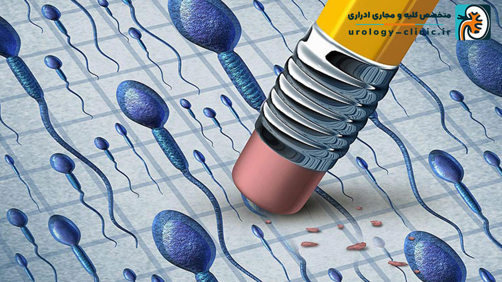 بهترین دکتر درمان ناباروی مردان شیراز