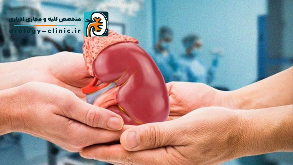 جراحی پیوند کلیه چیست؟
